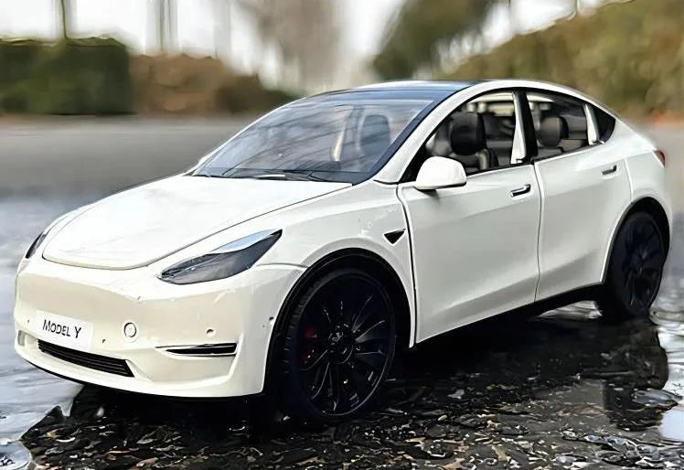 1/24 Scale Model Y