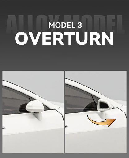1/24 Scale Model 3 y
