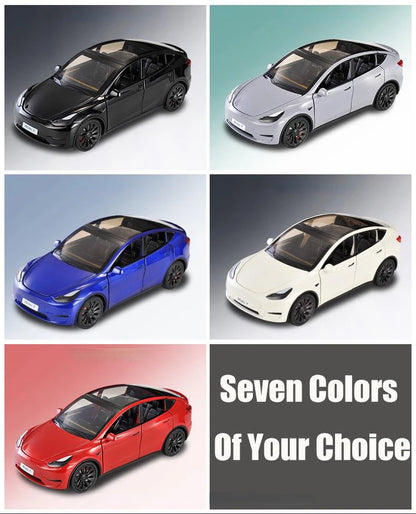 1/24 Scale Model Y