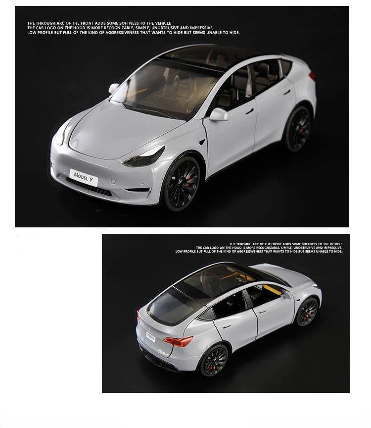 1/24 Scale Model Y