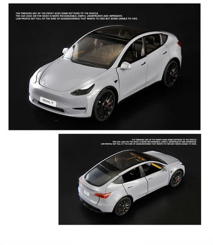 1/24 Scale Model Y
