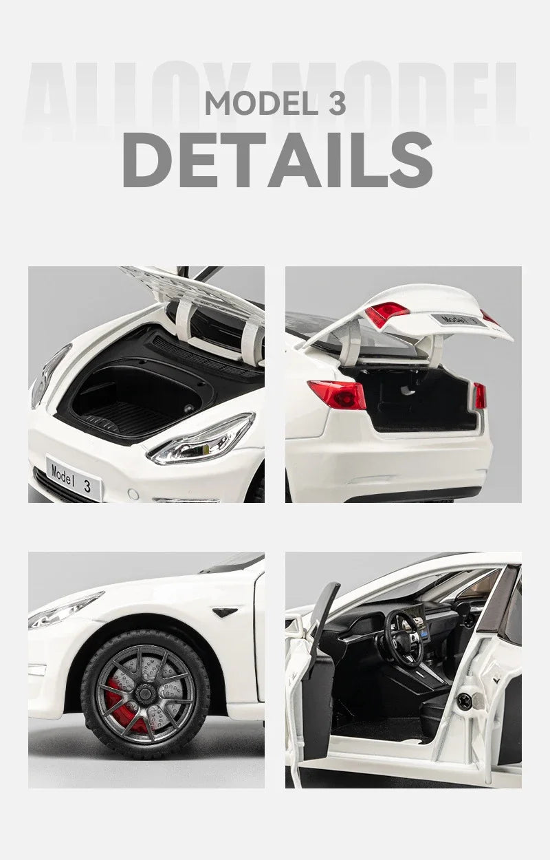 1/24 Scale Model 3 y