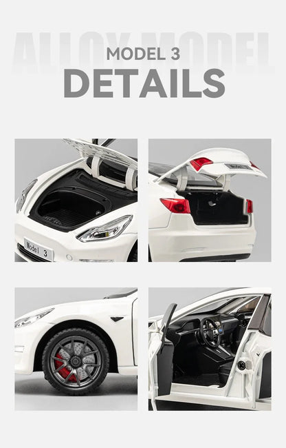 1/24 Scale Model 3 y