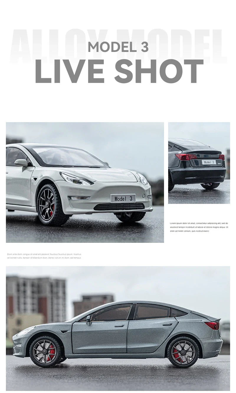 1/24 Scale Model 3 y